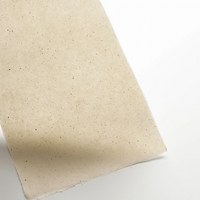 Gampi Handmade w/ Flecks (15 Sheets) - 30gsm