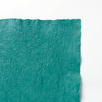 Kyoseishi Strong Crinkle (water-resistant) - awagami factory