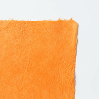 Kyoseishi Strong Crinkle (water-resistant) - awagami factory