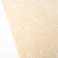 * NEW A4 Washi Paper Pack - Unryu Beige (20 sheets)
