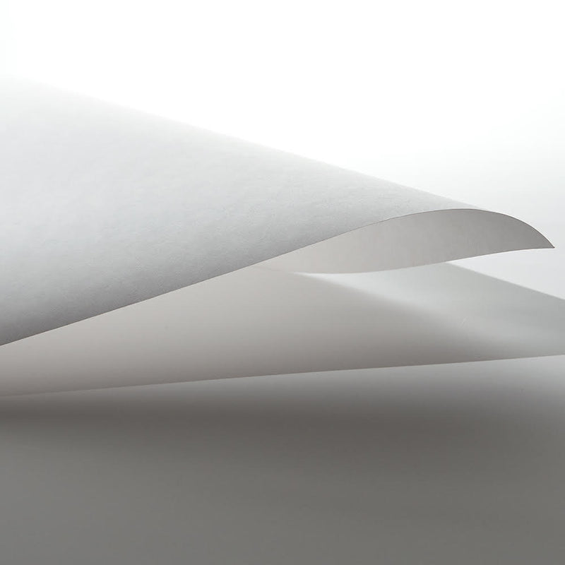 Masa (Extra Long) 20m Roll