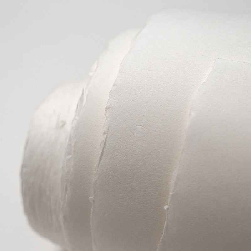 Fuji Mixed-Media (Heavyweight) Roll