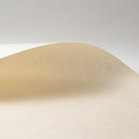 * NEW SPECIAL OFFER - Okawara Large (20 sheets)