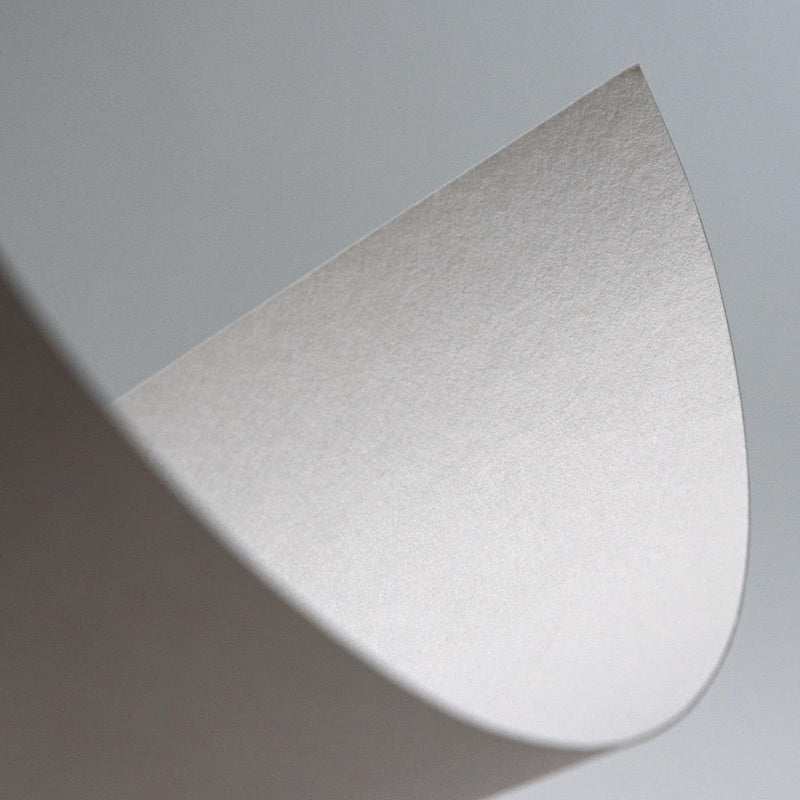 Fuji Mixed-Media (Heavyweight) Roll