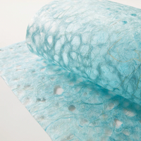 Asarakusui Lace (2 sheets per color) - awagami factory