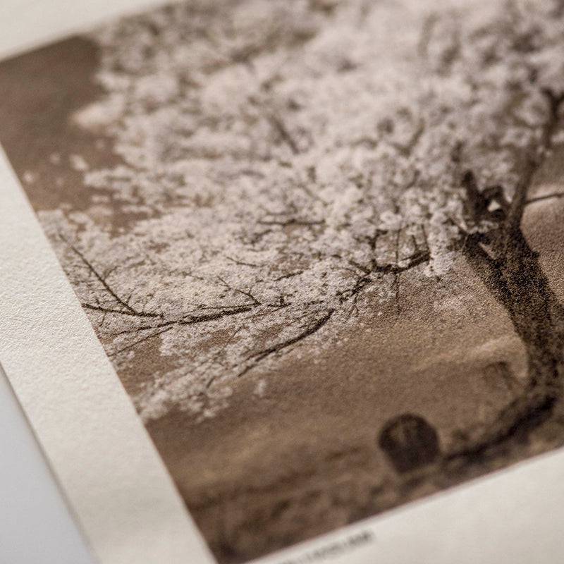 Kozo Thin 70gsm Natural - awagami factory