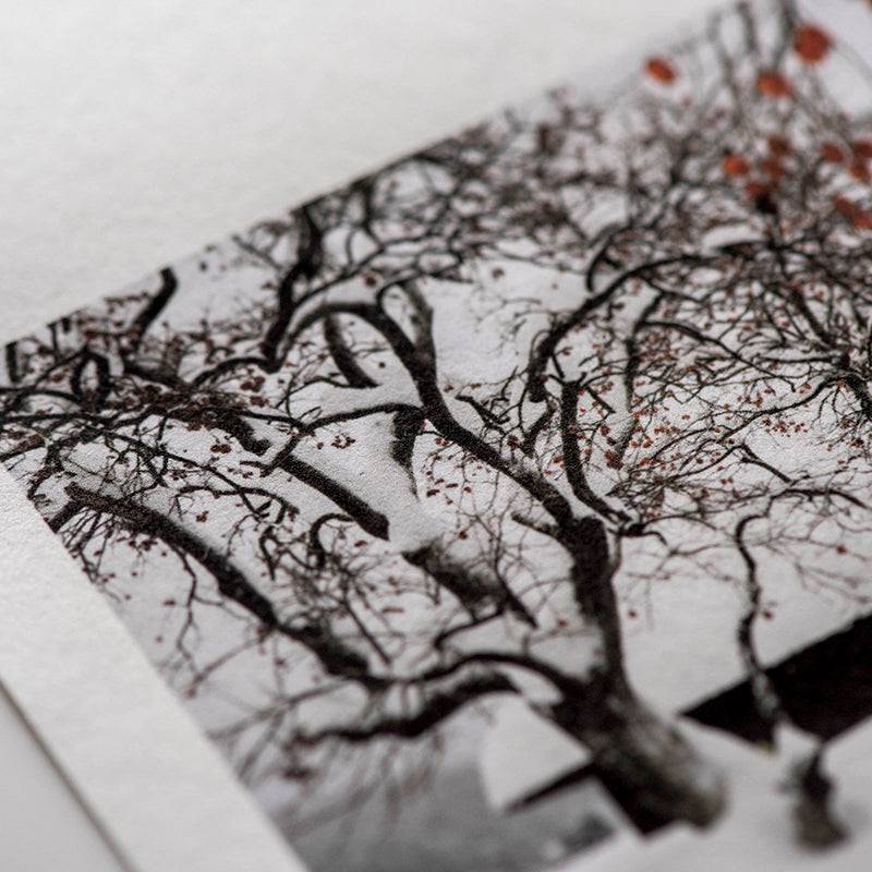 Kozo Thick 110gsm White - awagami factory