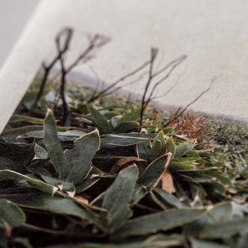 Mitsumata Double-Layered 95 gsm / 35gsm (For Extra-Thin Prints) - awagami factory