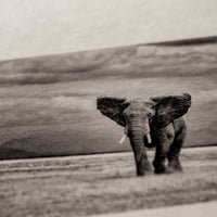 Bizan Handmade Medium 200gsm Natural (Deckle Edges) - awagami factory