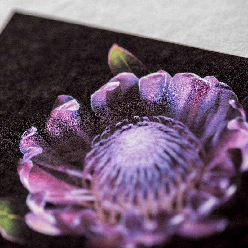 Bizan Handmade Thick 300gsm White (Deckle Edges) - awagami factory