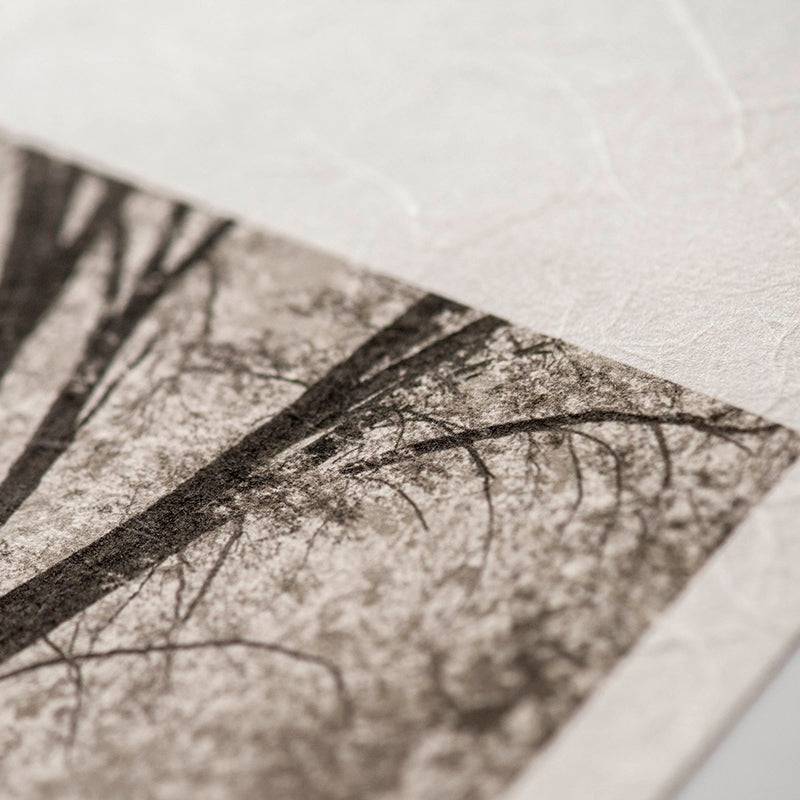 Premio Unryu 165gsm White (Swirling Fibers) - awagami factory