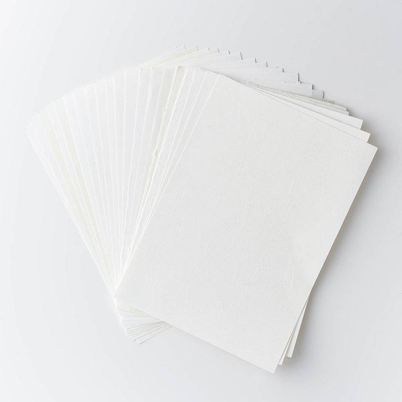 AIJP Pro Sample Pack (18 Sheets) - awagami factory