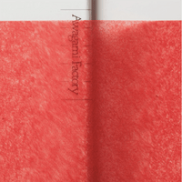 Tengucho Extra-Thin Tissue Colors (2 sheets per color) - awagami factory