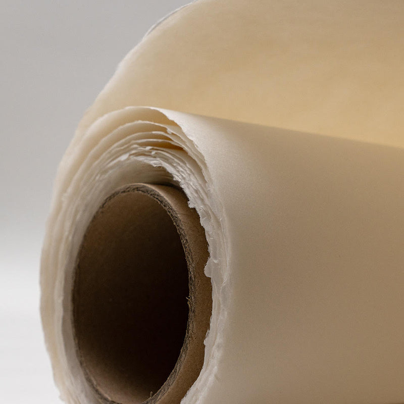 * NEW Fuji Mixed-Media (Heavyweight) Roll