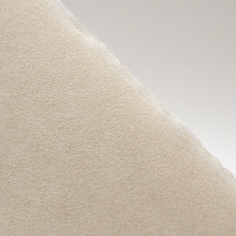 * NEW SPECIAL OFFER - Okawara Large (20 sheets)