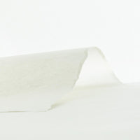 * NEW Gampi Extra-Thin (Glossy)