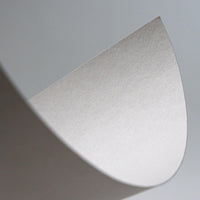 * NEW Fuji Mixed-Media (Heavyweight) Roll