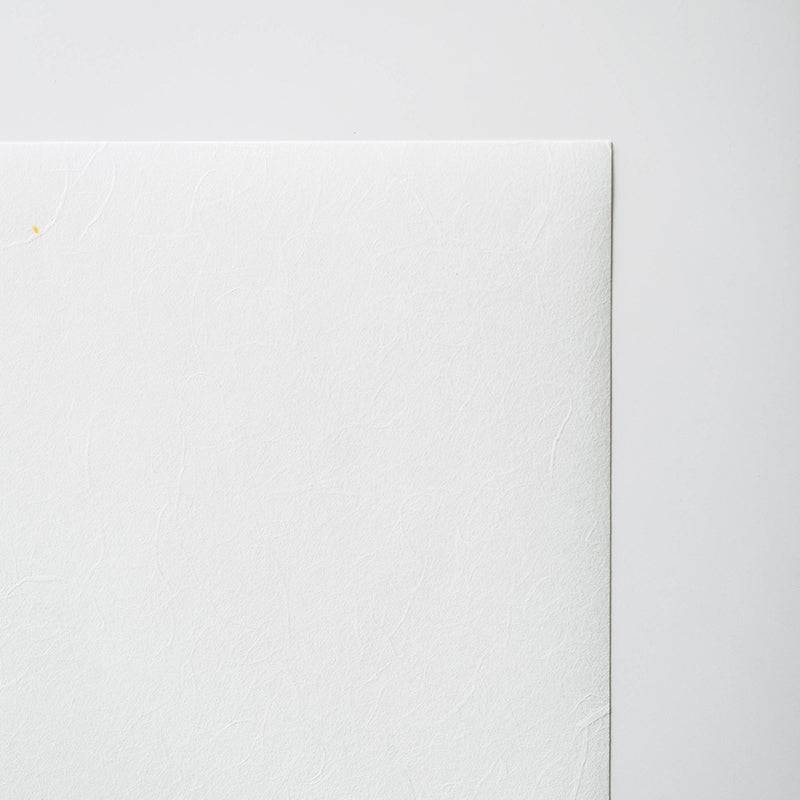 Unryu Thin 55gsm White (Swirling Fibers) | awagami factory