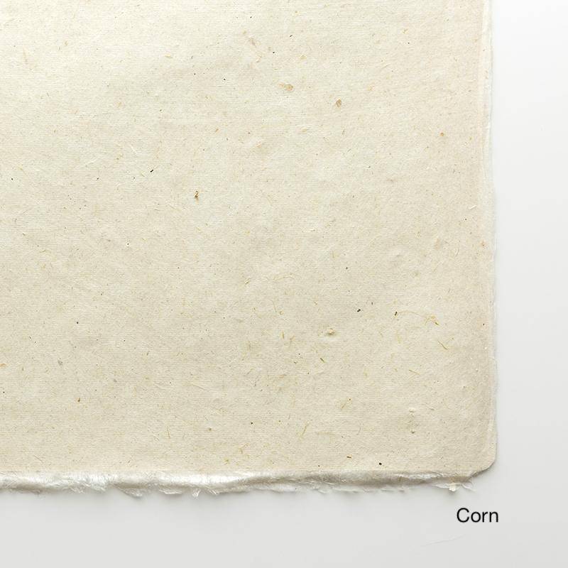 Nature Papers: Corn, Onion, etc. (2 sheets per type) - awagami factory