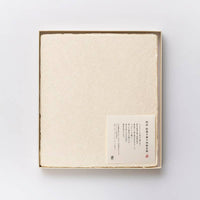 Handmade Thick Tesuki Art Sheets in Gift Box (25 sheets) - awagami factory